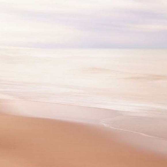 Meet your Posher, Kendall - Picture 1 of 1